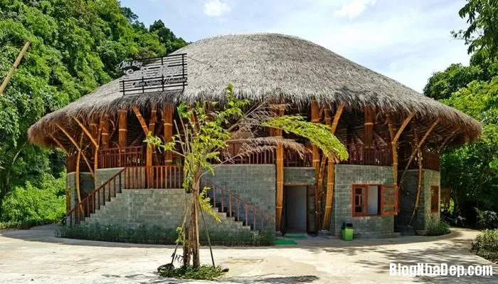 Ngôi nhà bằng tre lợp mái rạ xinh đẹp chống chịu được khí hậu mưa bão của Việt Nam